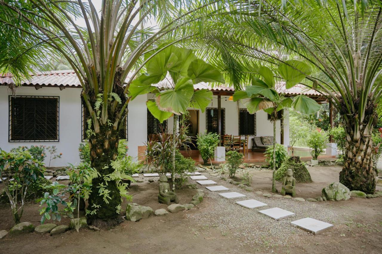 Dreamy Contentment Matapalo  Exterior foto