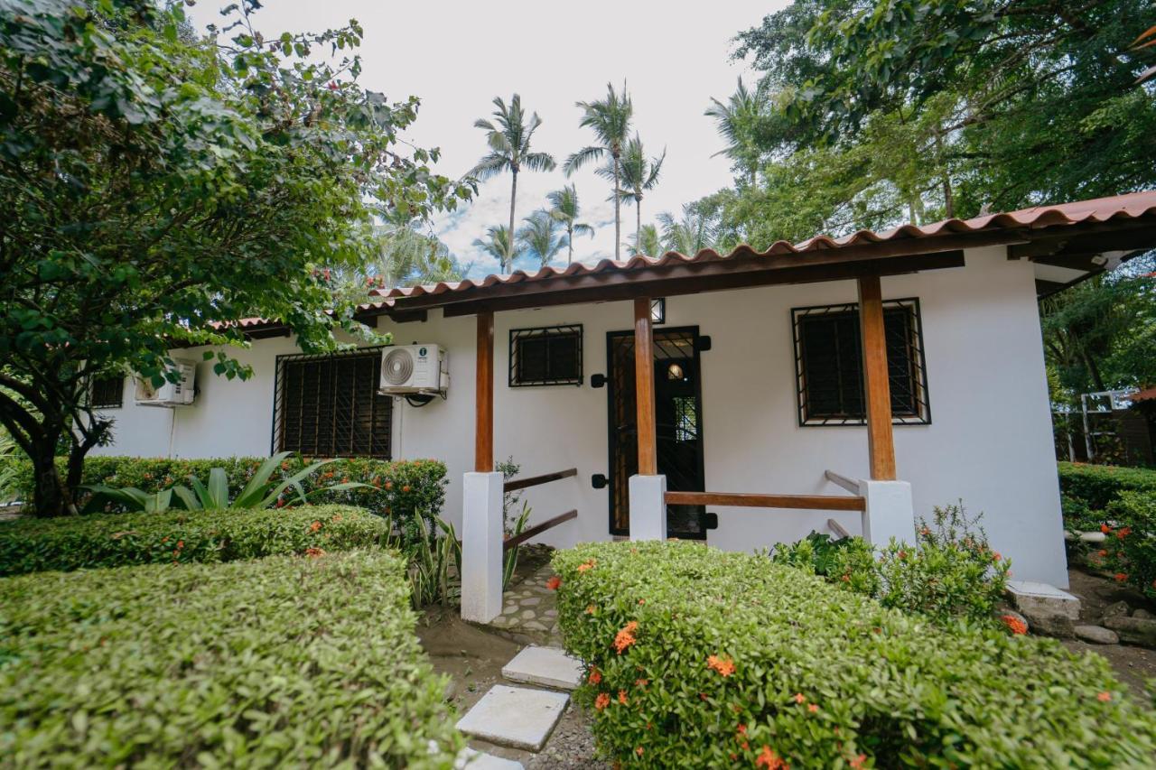 Dreamy Contentment Matapalo  Exterior foto