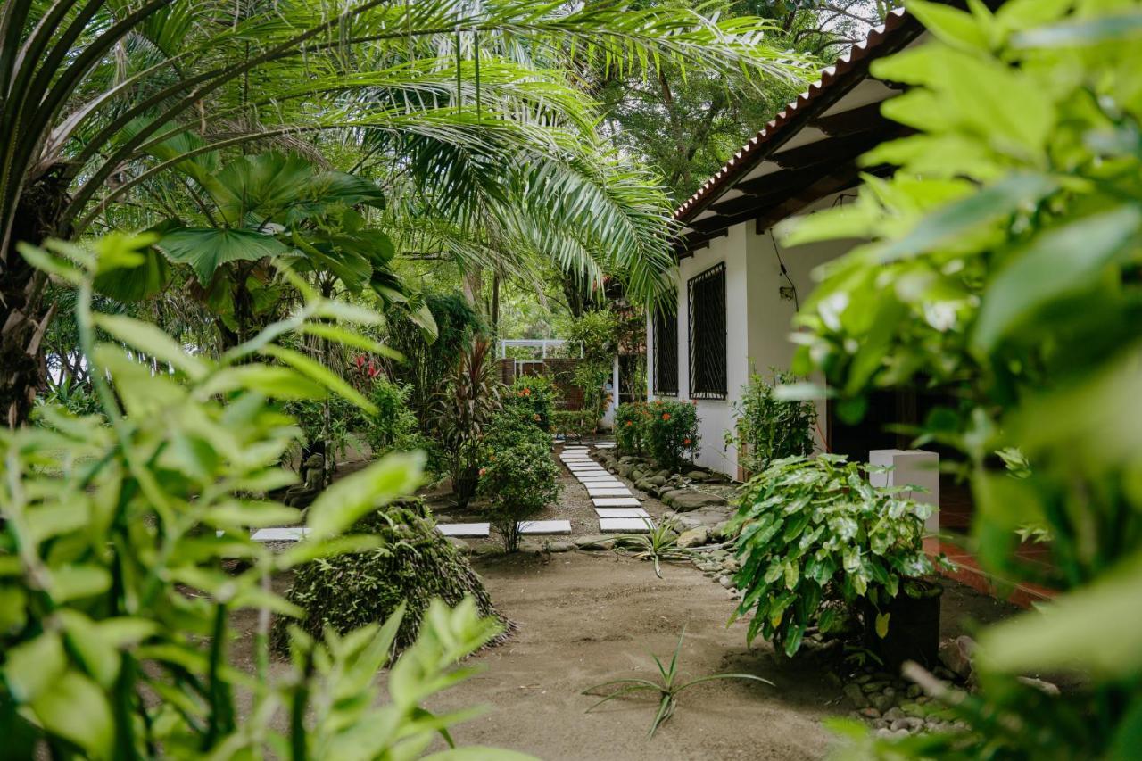 Dreamy Contentment Matapalo  Exterior foto